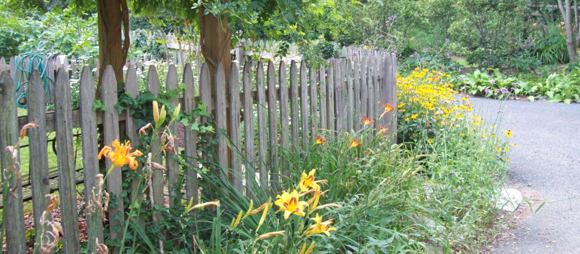 Kitchen_Garden_6_1