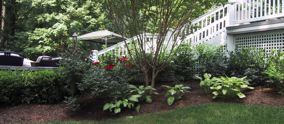 Pool_Part-Shade_4_1