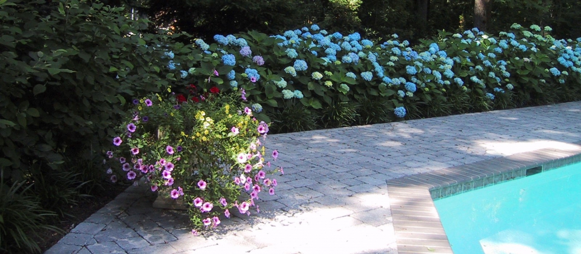 Pool_Part-Shade_6_1