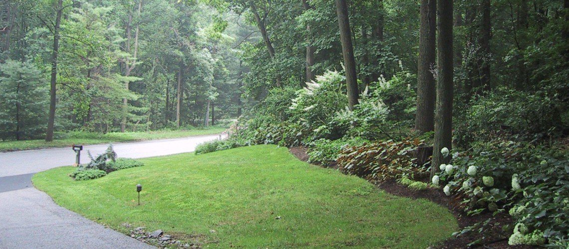 Woodland_Garden_1_1-1140x500_c