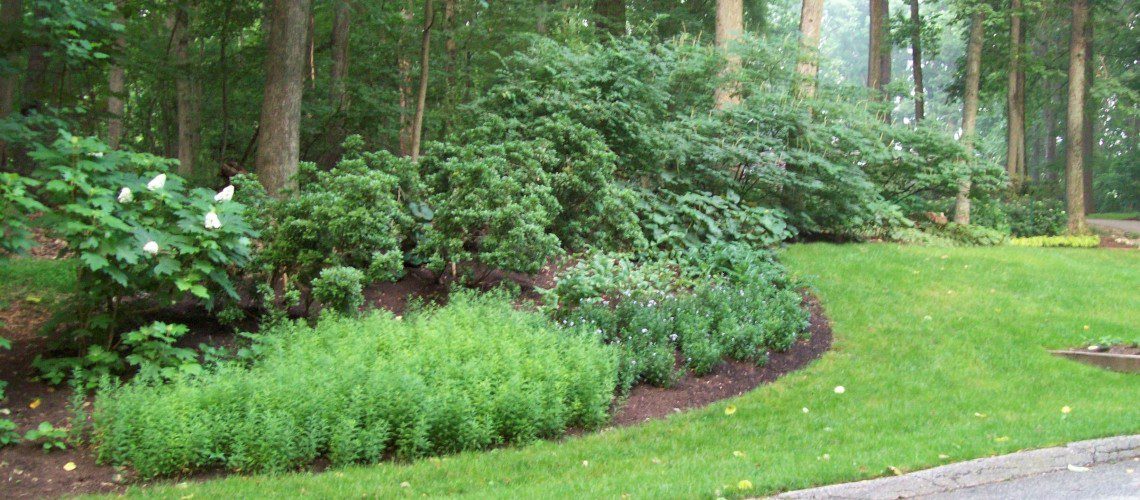 Woodland_Garden_2_1-1140x500_c