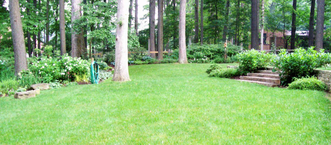 Woodland_Garden_4_1-1140x500_c