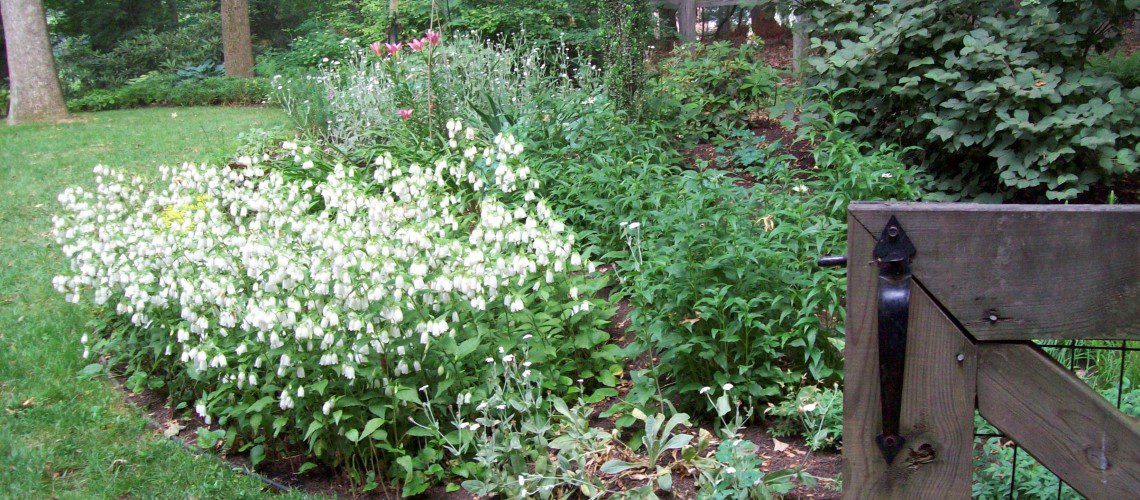 Woodland_Garden_5_1-1140x500_c