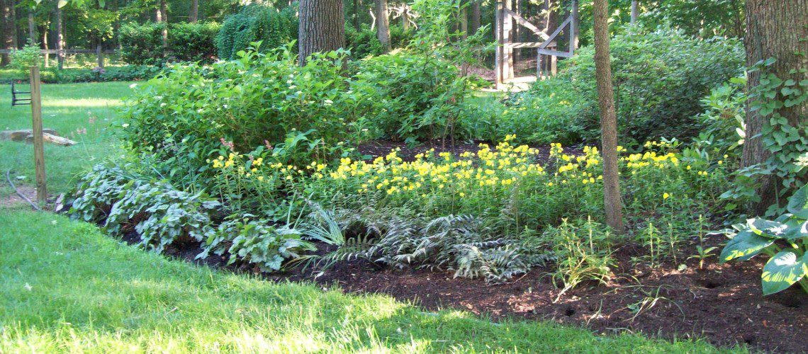 Woodland_Garden_6_1-1140x500_c
