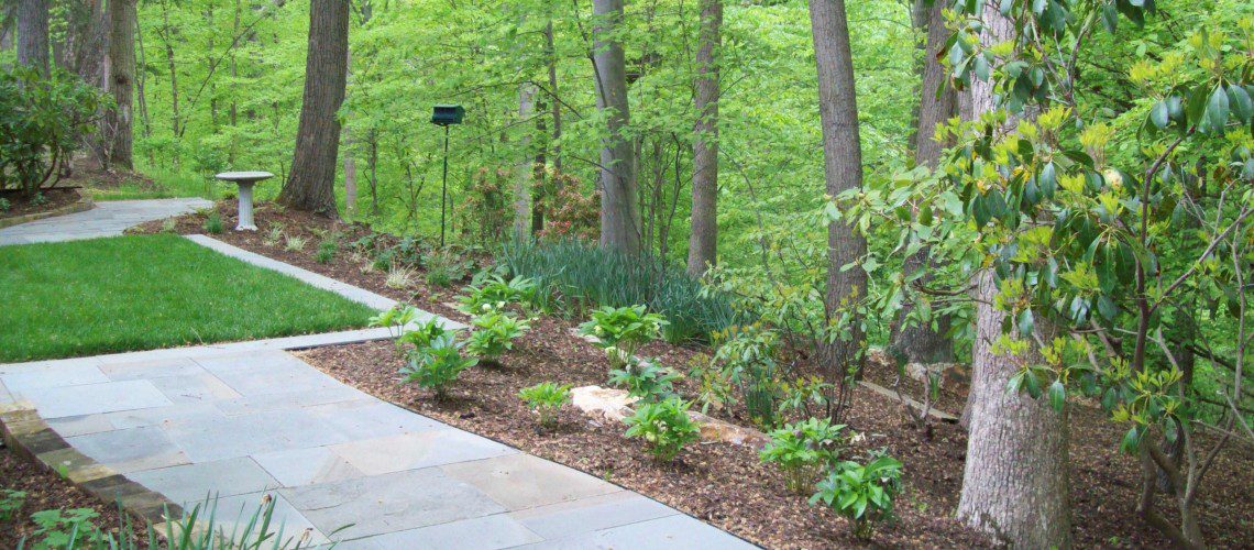 woodland_courtyard_2_1-1140x500_c
