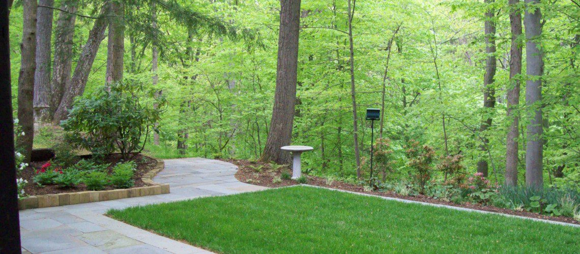 woodland_courtyard_3_1-1140x500_c