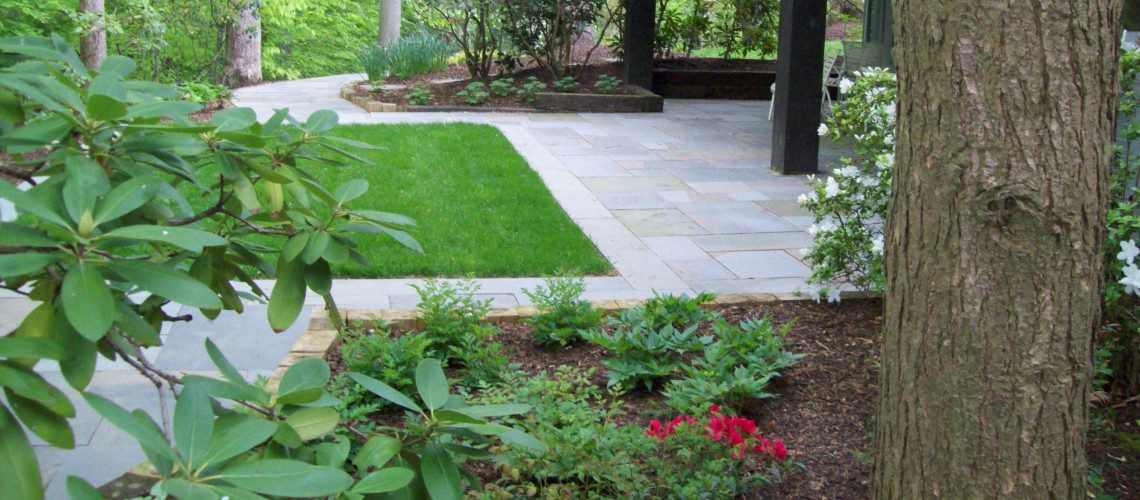 woodland_courtyard_6_1-1140x500_c