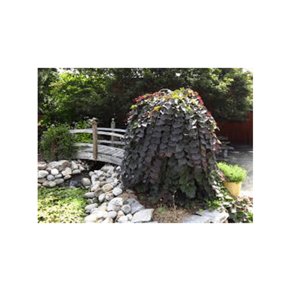 Ruby-Falls-4b